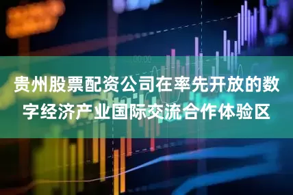 贵州股票配资公司在率先开放的数字经济产业国际交流合作体验区