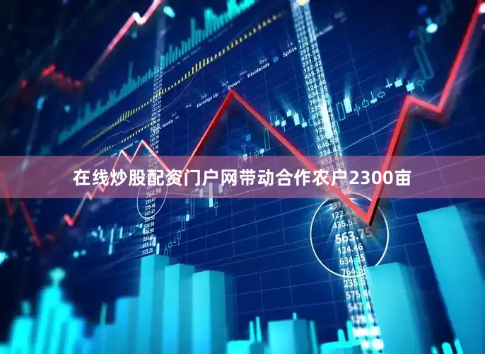 在线炒股配资门户网带动合作农户2300亩